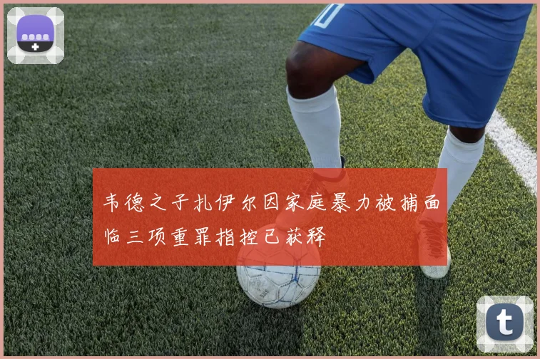 韦德之子扎伊尔因家庭暴力被捕面临三项重罪指控已获释