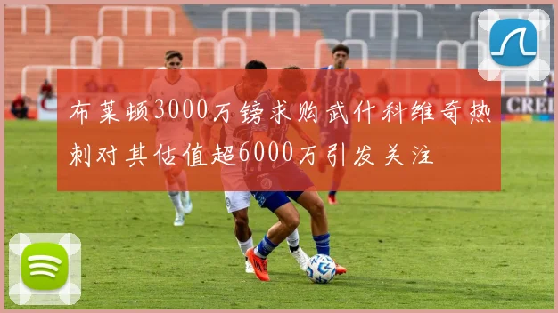 布莱顿3000万镑求购武什科维奇热刺对其估值超6000万引发关注