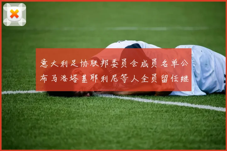 意大利足协联邦委员会成员名单公布马洛塔基耶利尼等人全员留任继续服务