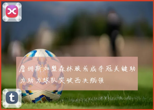 詹姆斯加盟森林狼或成夺冠关键助力助力球队突破西决瓶颈